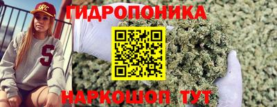 крисы Нарткала