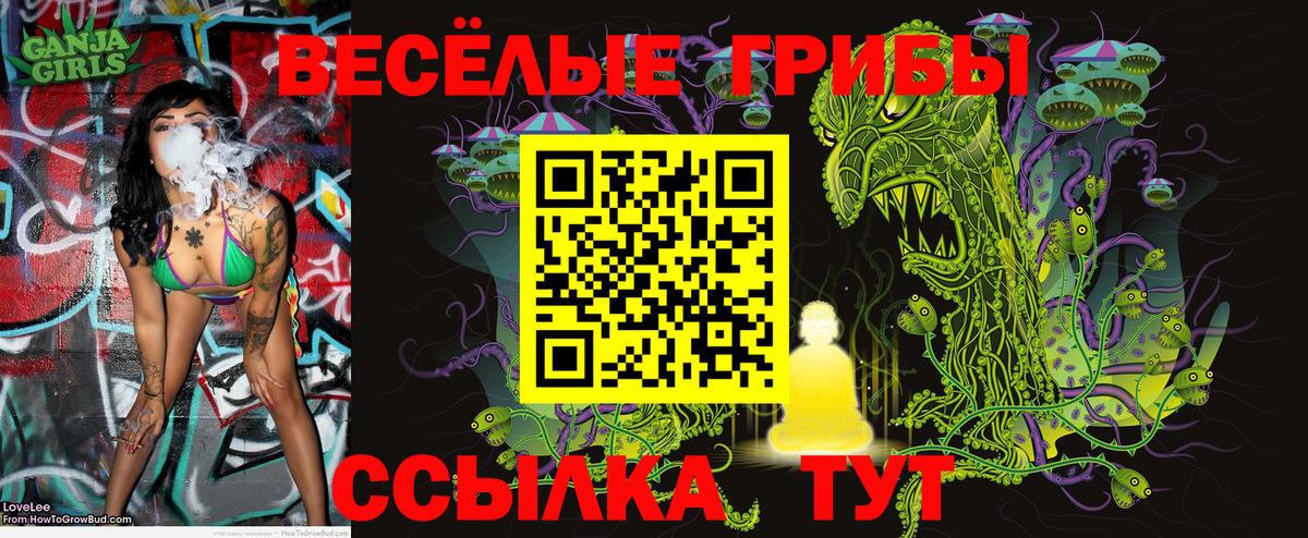Озёрск  наркошоп  Вход с VPN  Галлюциногенные грибы Psilocybe  Галлюциногенные грибы прущие грибы 