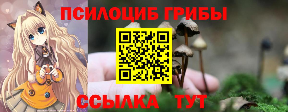 Галлюциногенные грибы GOLDEN TEACHER Озёрск